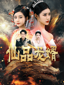 仙品龙婿全集