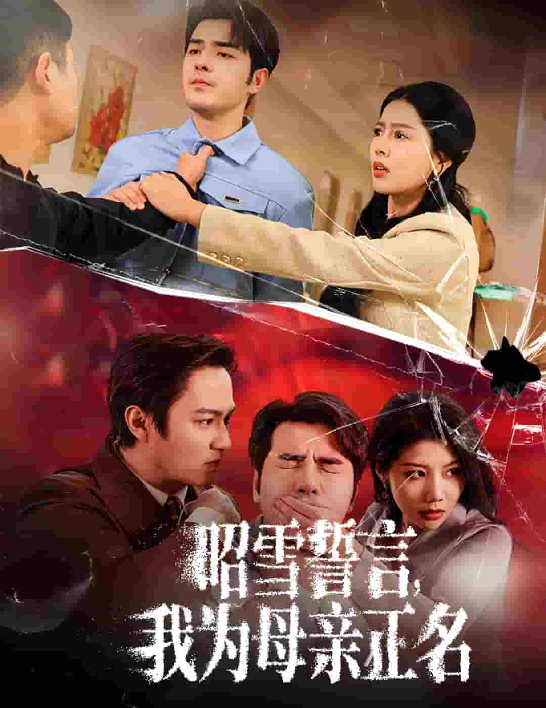 昭雪誓言我为母亲正名全集