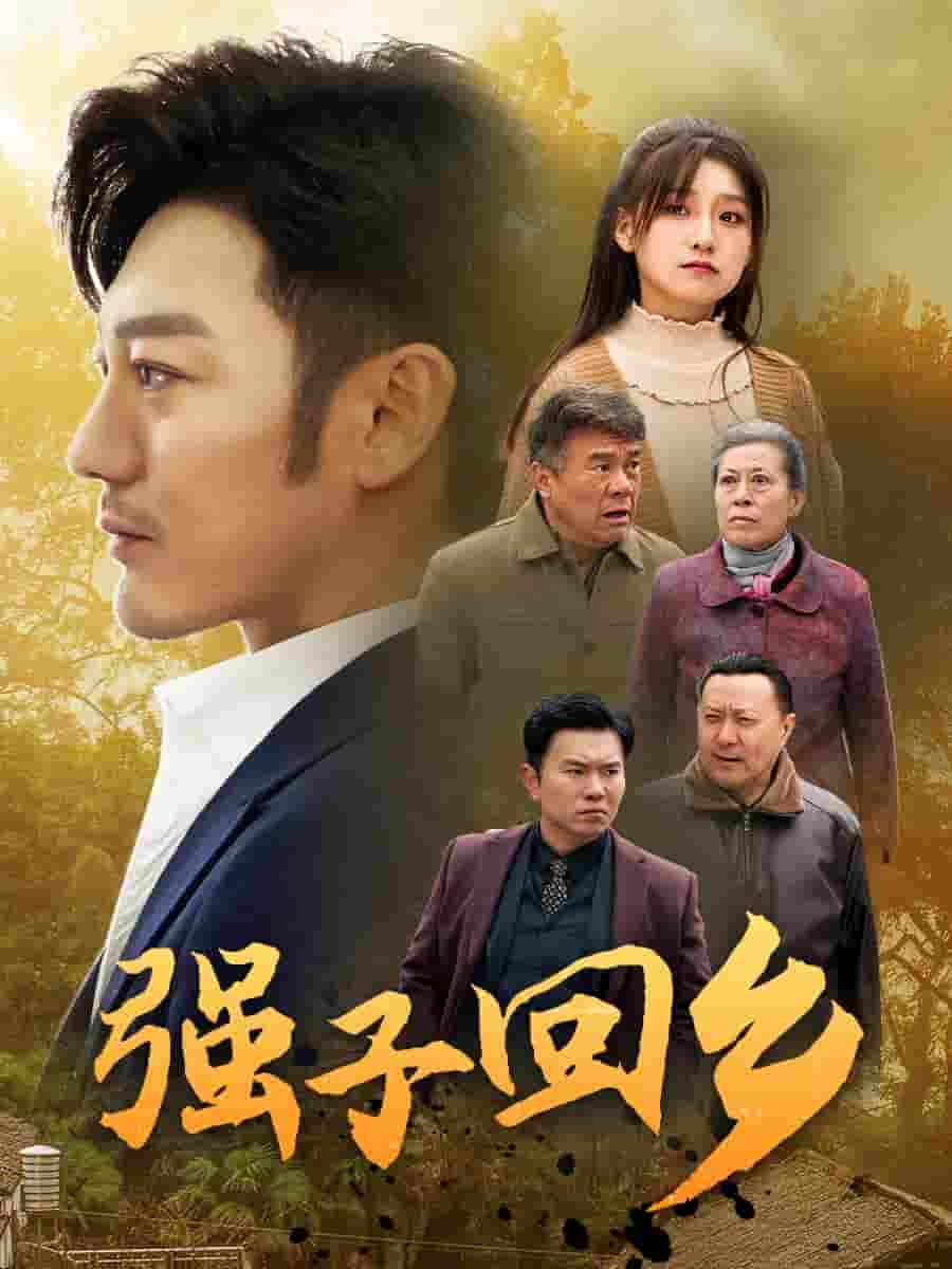 强子回乡全集