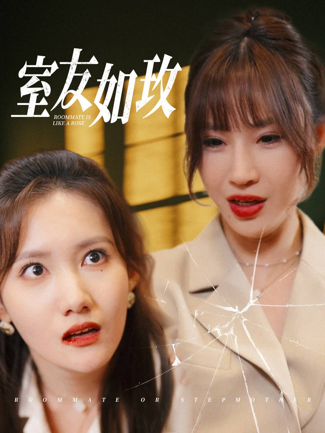 室友如玫全集