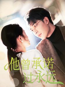 他曾承诺过永远全集