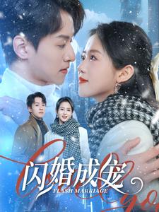 闪婚成宠全集