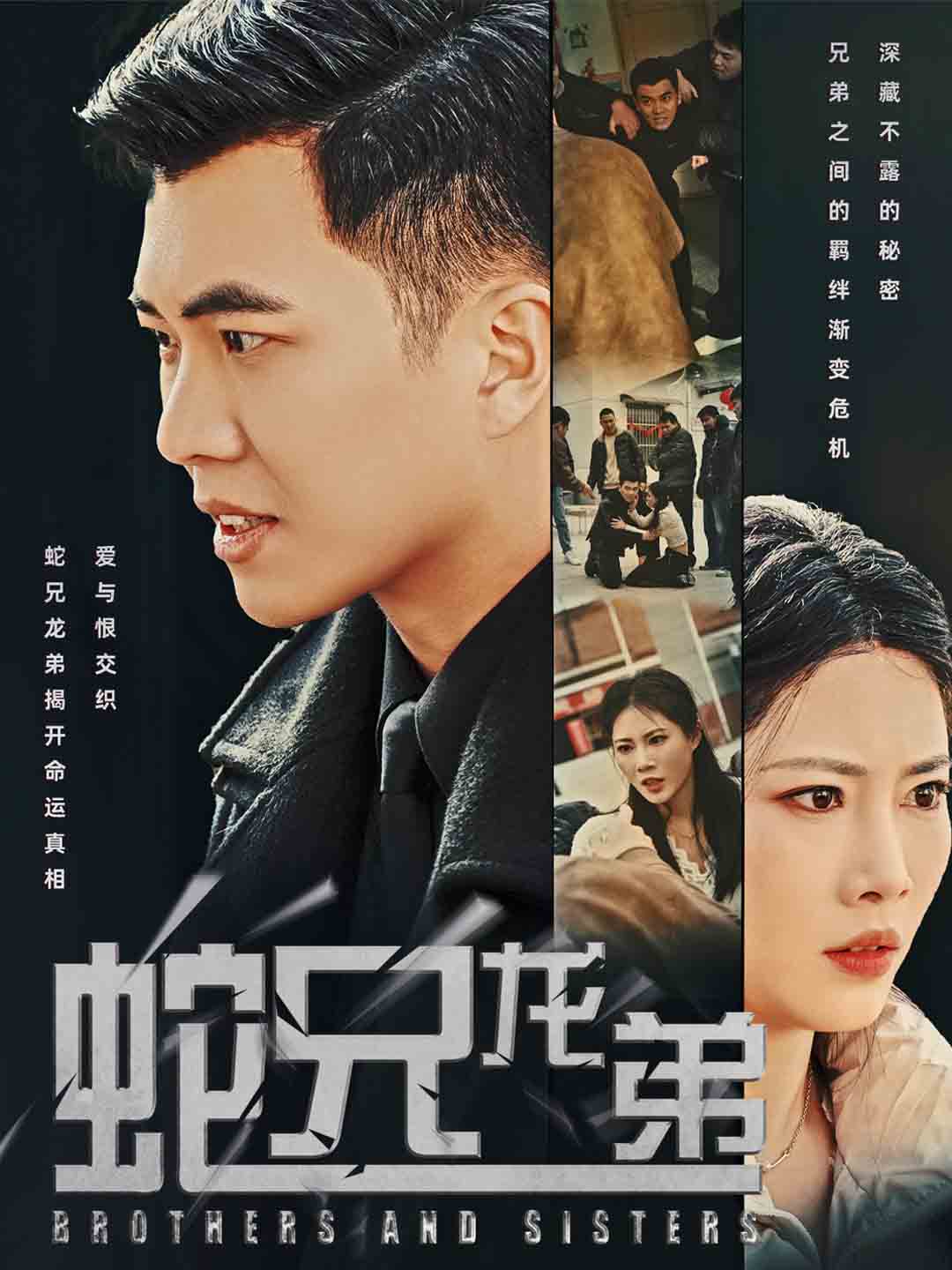 蛇兄龙弟全集