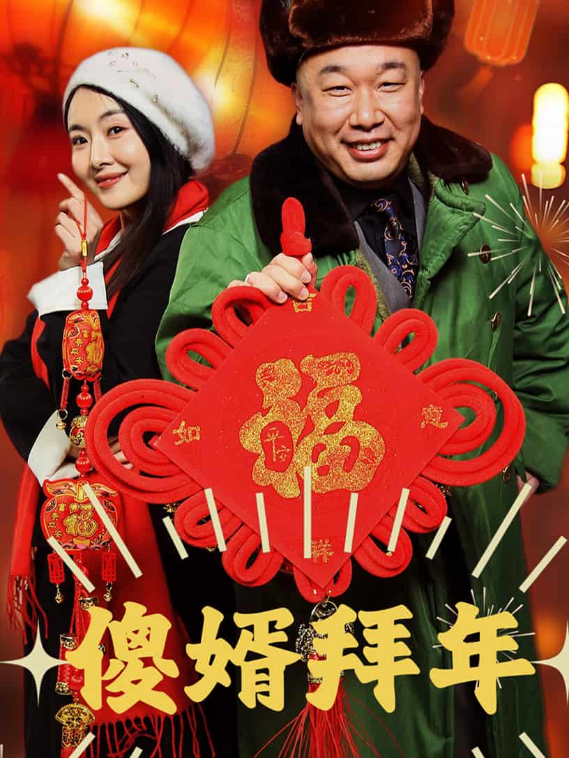 傻婿拜年全集
