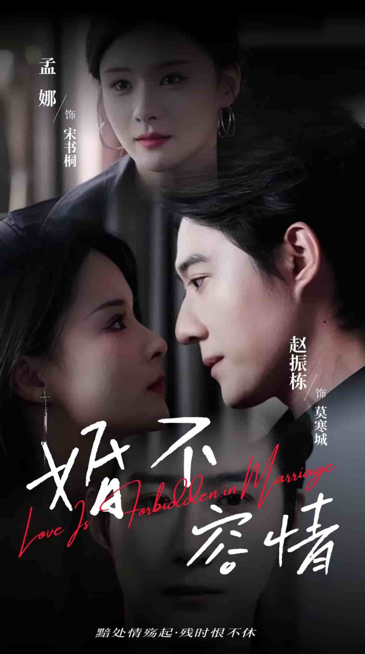 婚不容情全集
