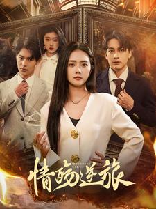 情殇逆旅全集
