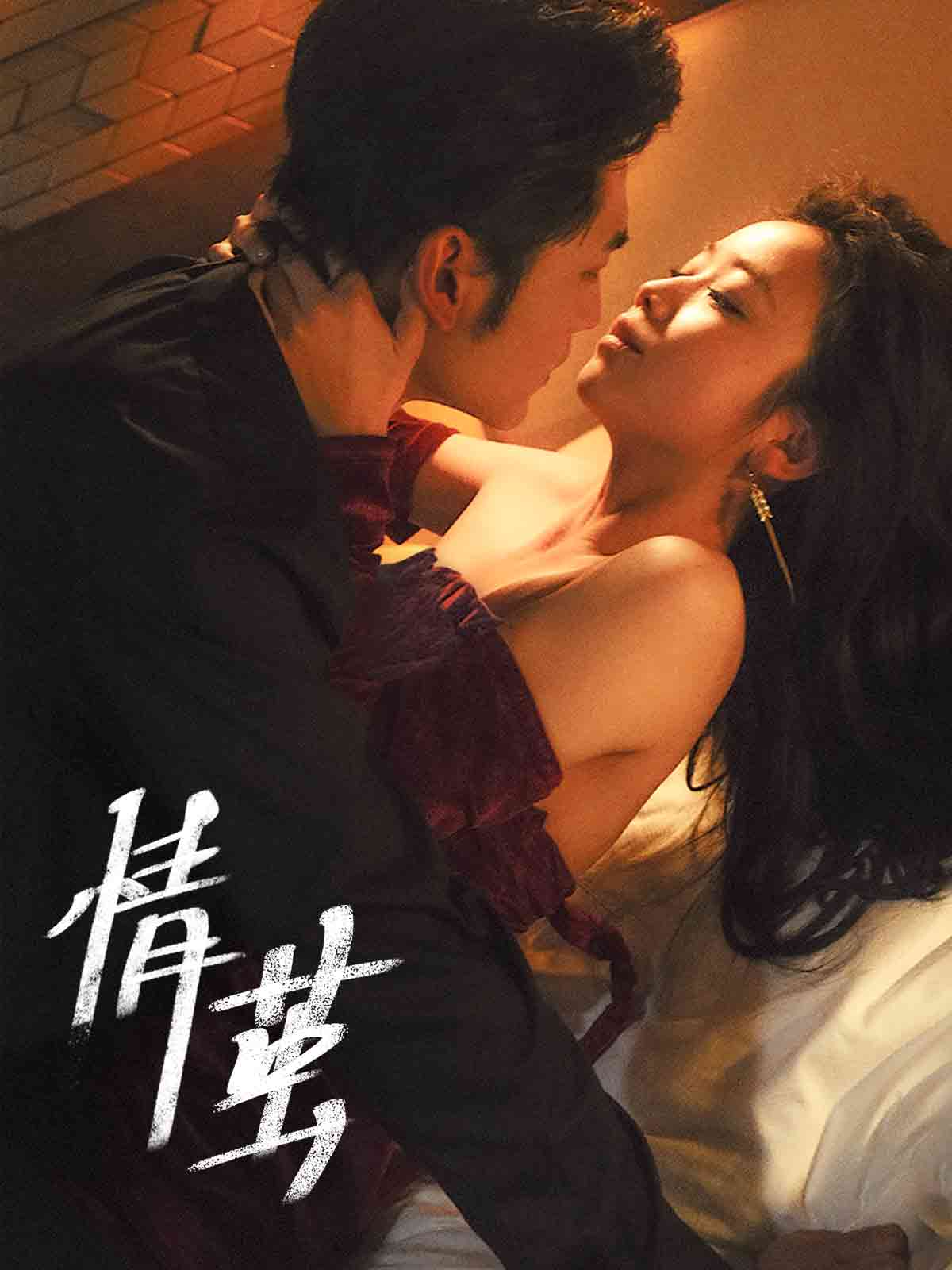 情茧全集