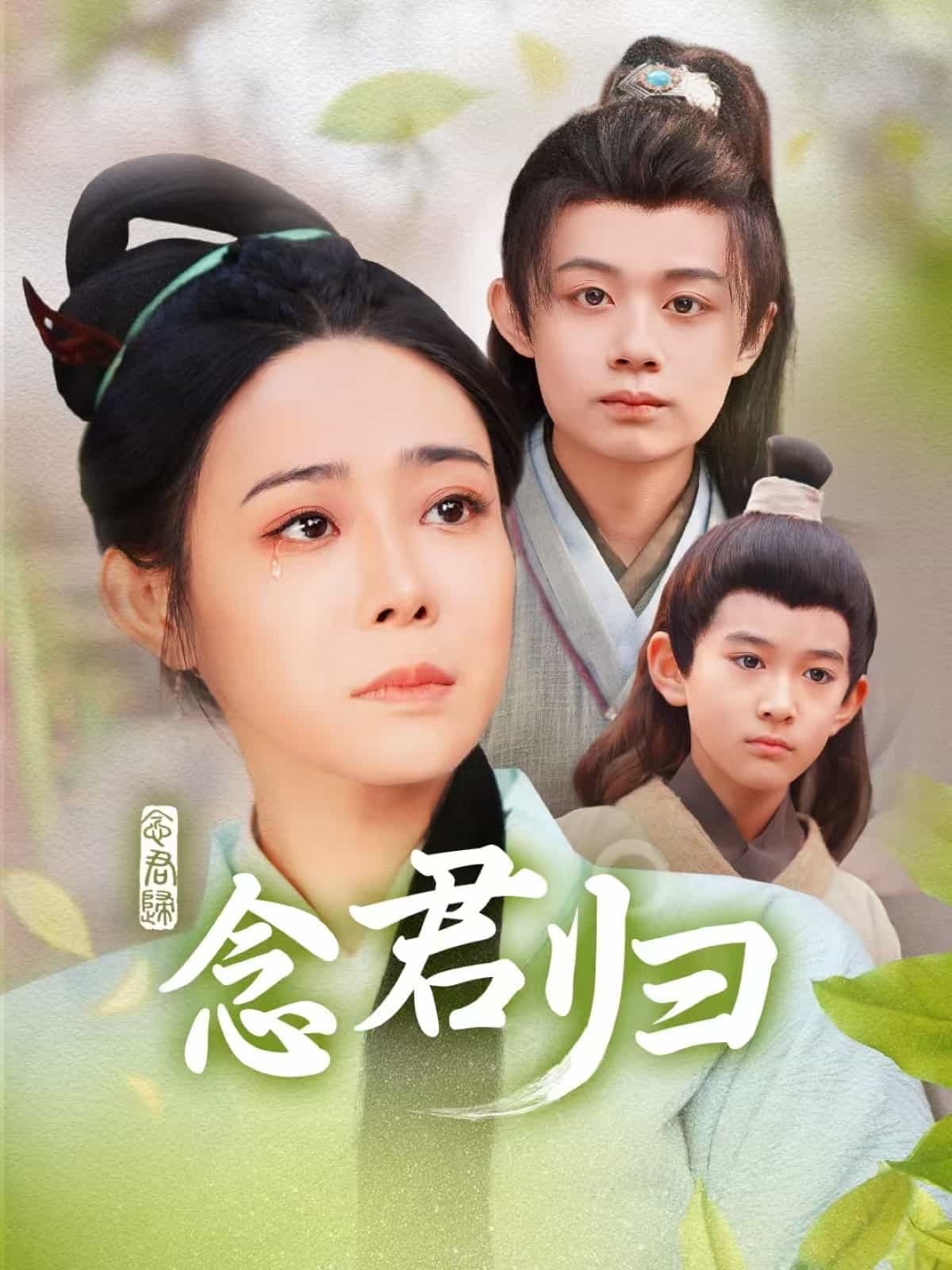 念君归全集
