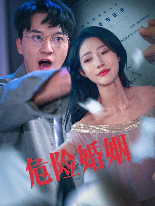 危险婚姻全集