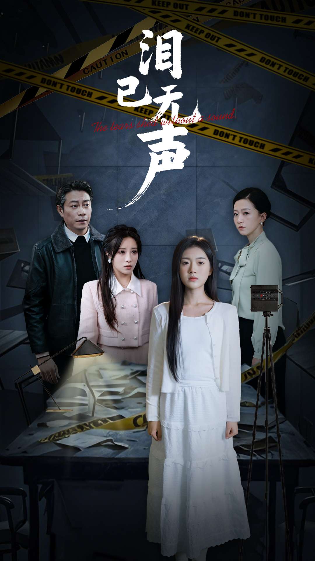 泪已无声全集