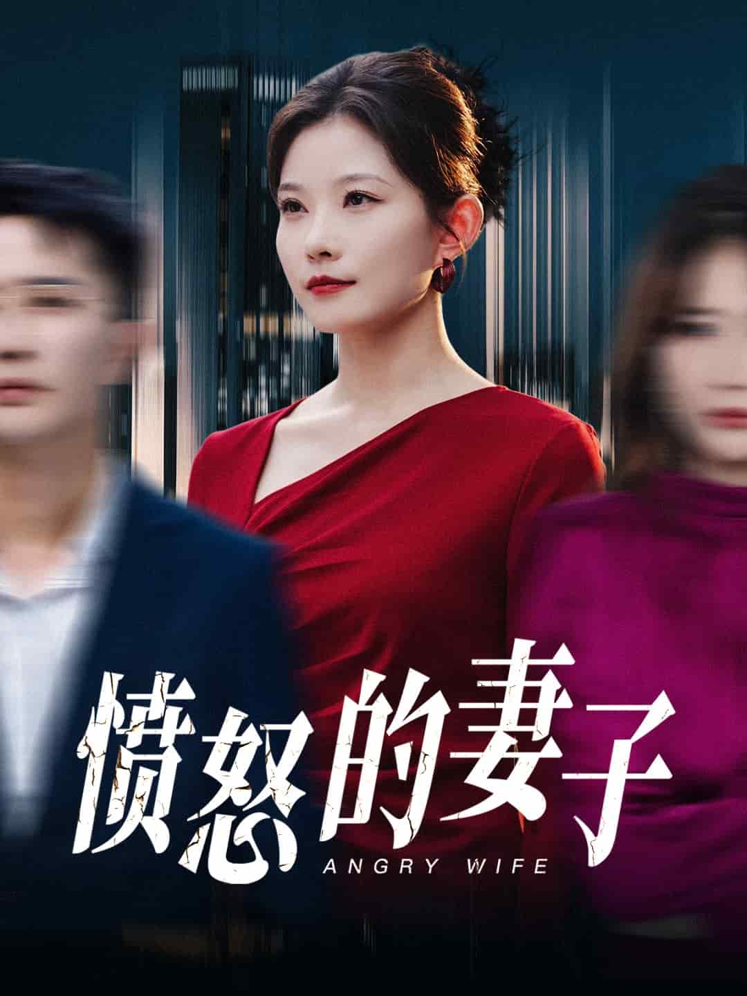 愤怒的妻子全集
