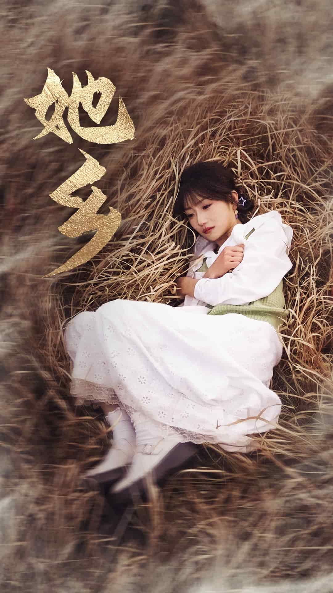 她乡全集