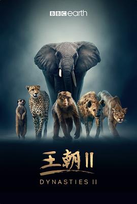 王朝第二季全集