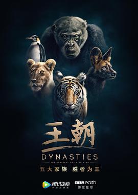 王朝第一季全集