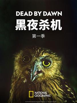 黑夜杀机第一季全集