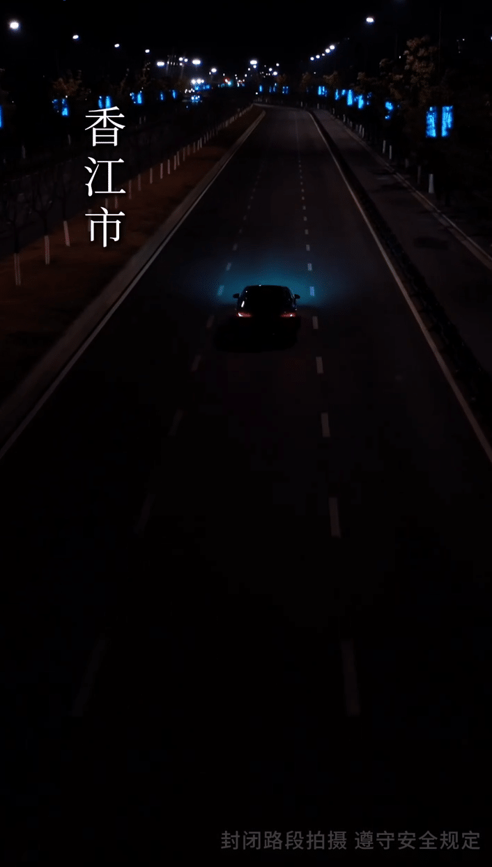 笼中雀全集