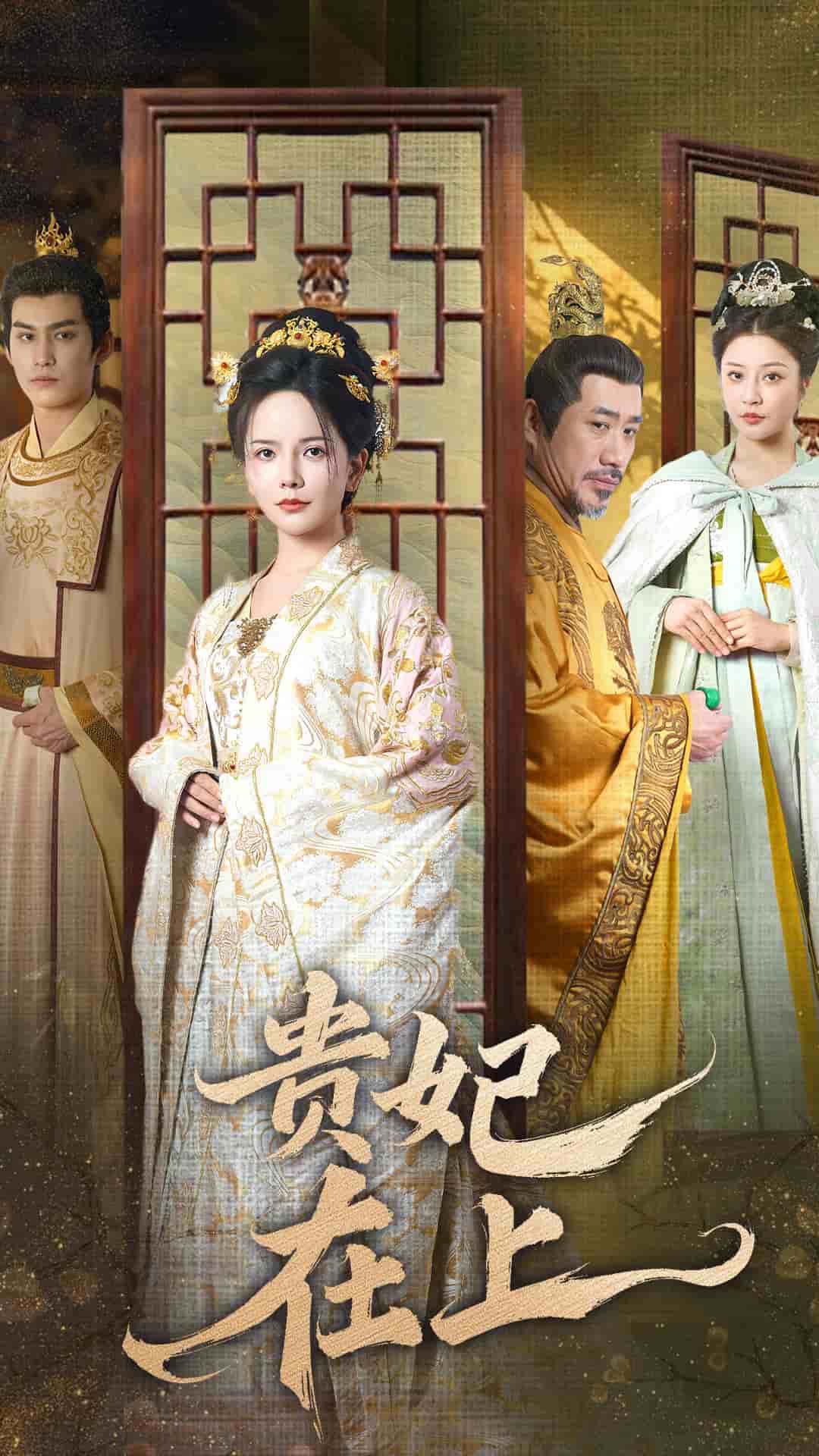 贵妃在上全集