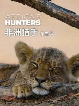 非洲猎手们第三季全集