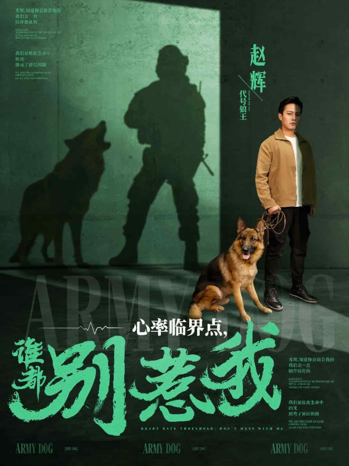 心率临界点谁都别惹我全集