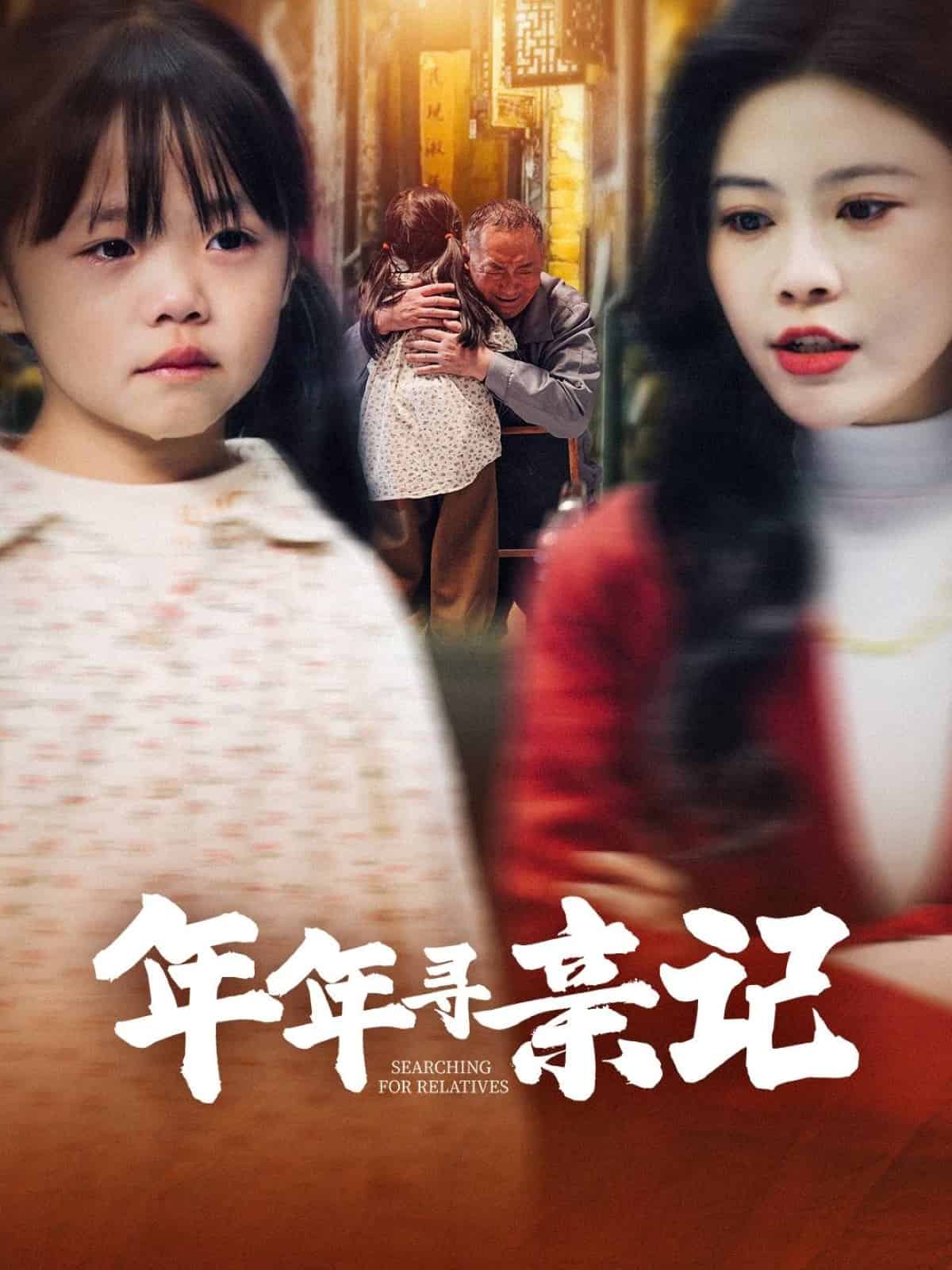 年年寻亲记全集