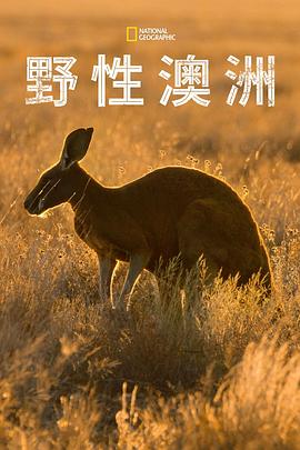 野性澳大利亚全集