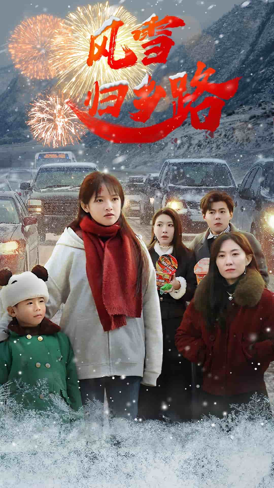 风雪归乡路全集