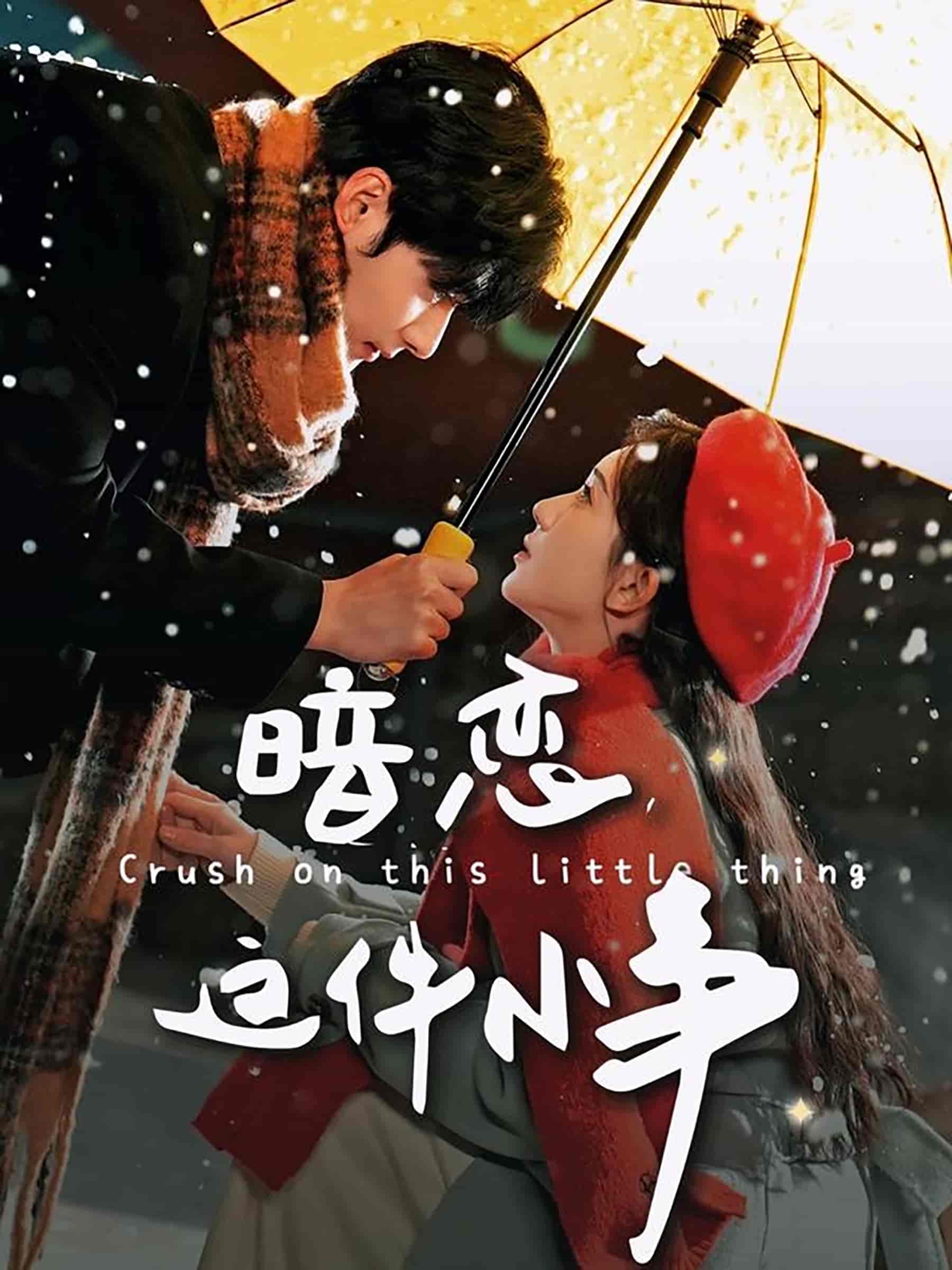 暗恋这件小事全集