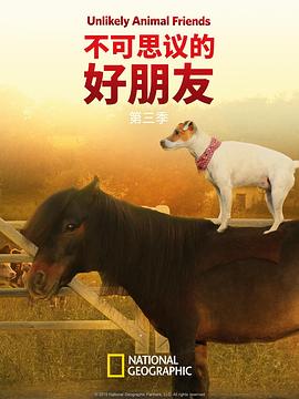 不可思议的好朋友第三季全集