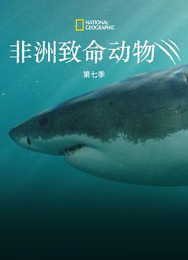 非洲致命动物第七季全集