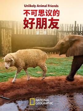 不可思议的好朋友第二季全集