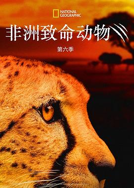 非洲致命动物第六季全集