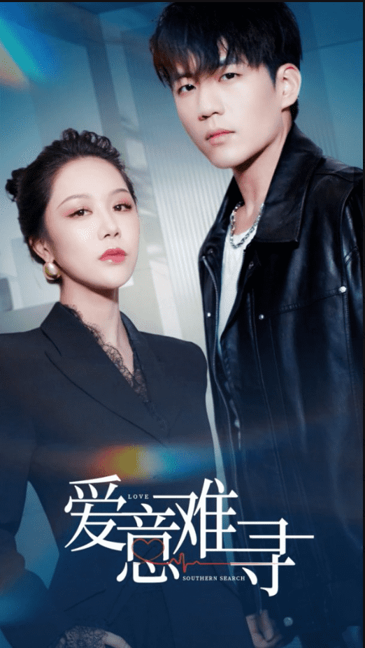 爱意难寻全集