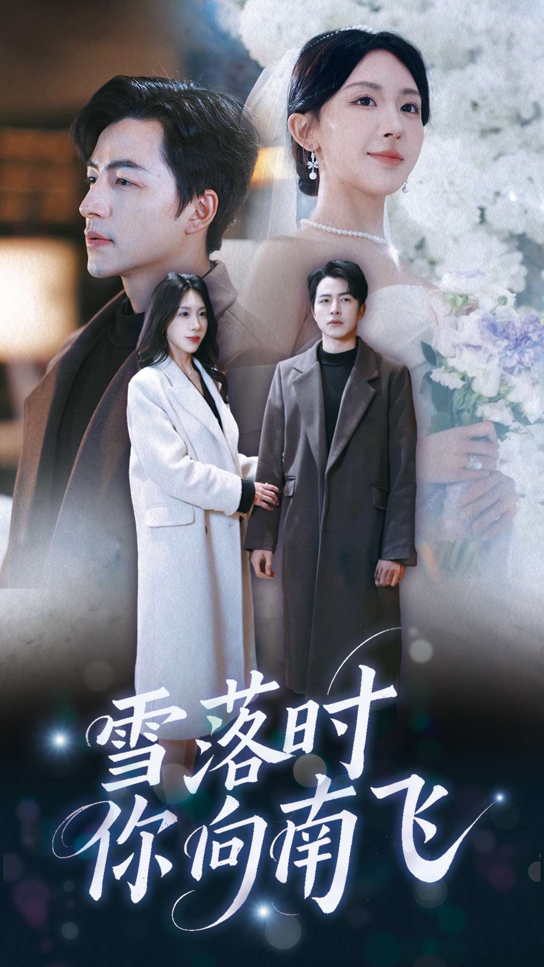 雪落时你向南飞全集