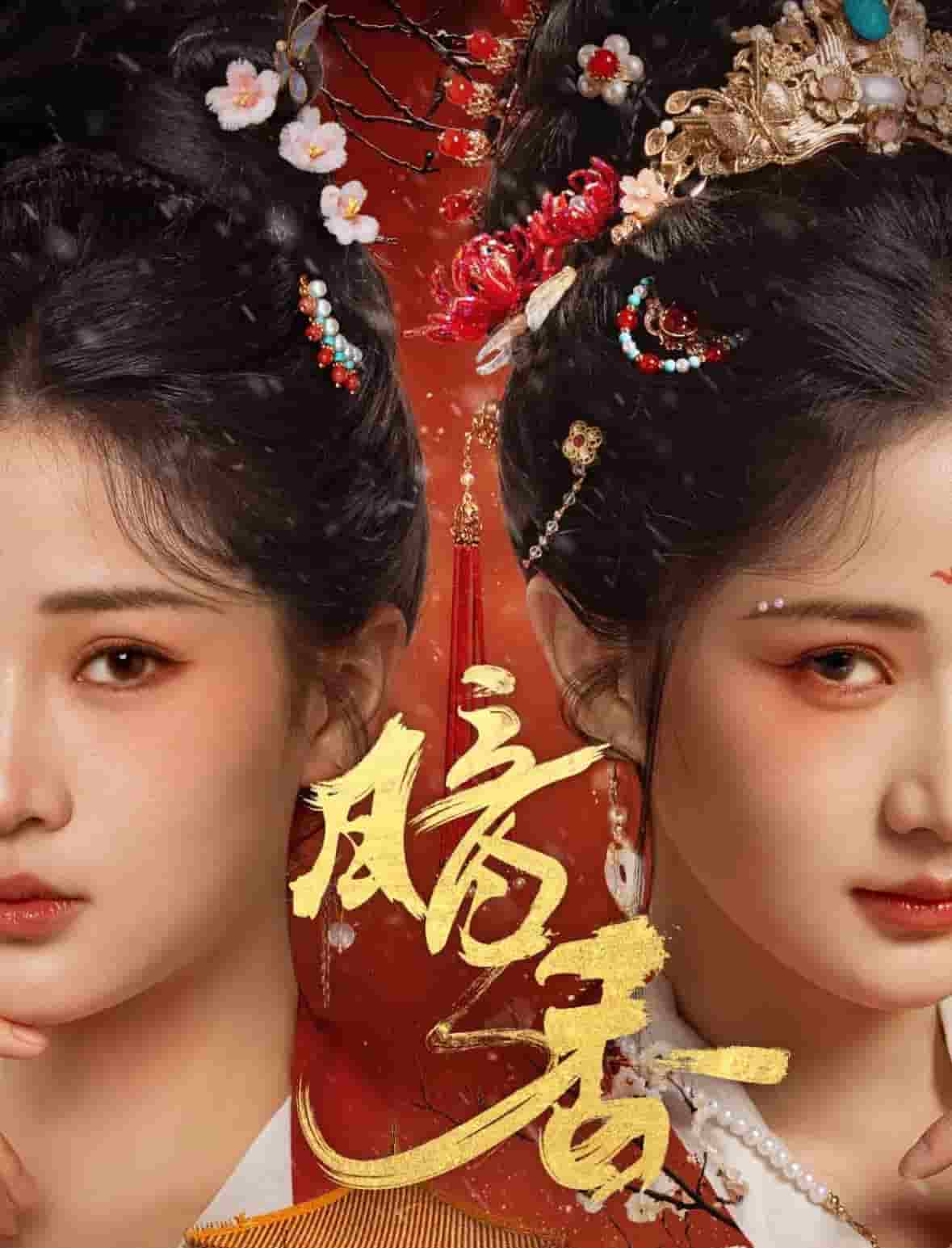 暗香（短剧版）全集