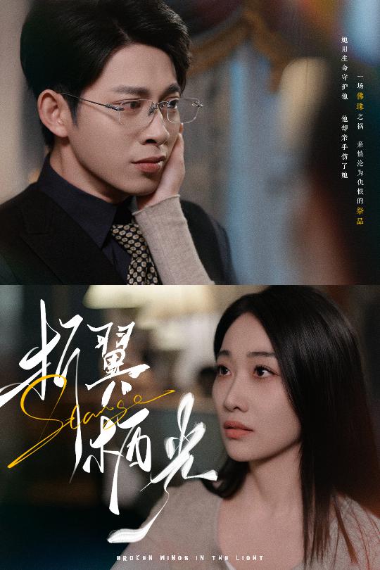 折翼栖光全集