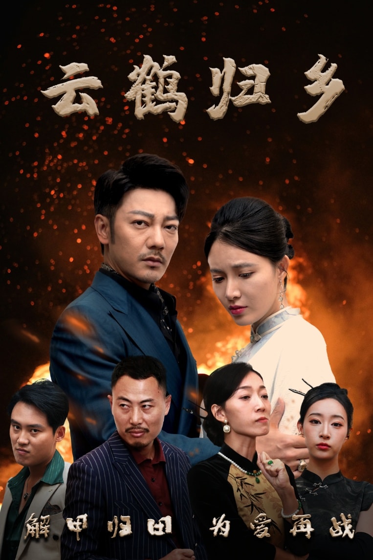 云鹤归乡全集