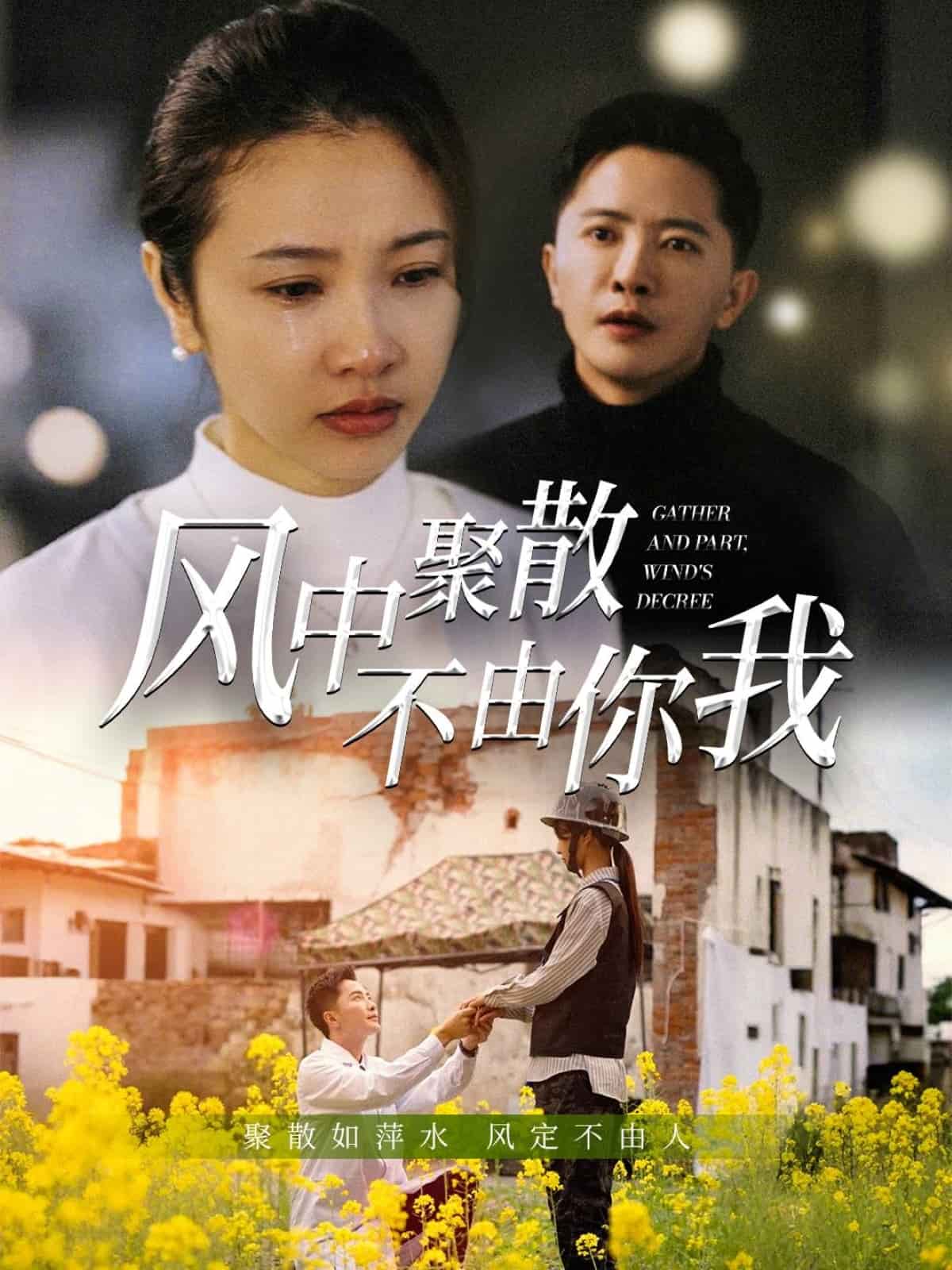 风中聚散不由你我全集