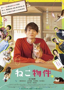 猫物件全集