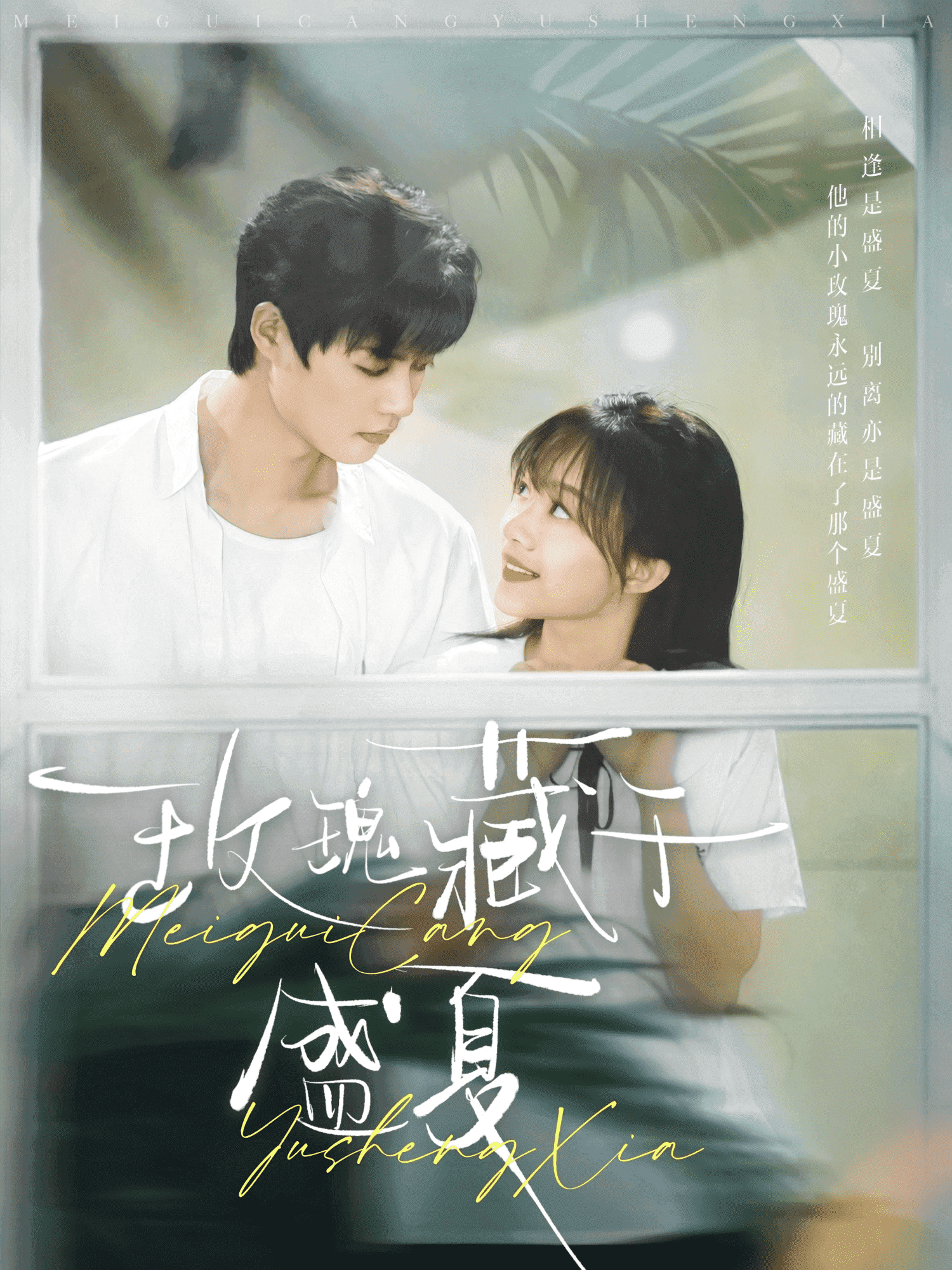 玫瑰藏于盛夏全集