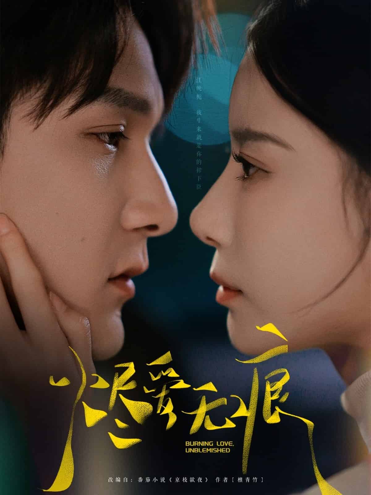 烬爱无痕全集