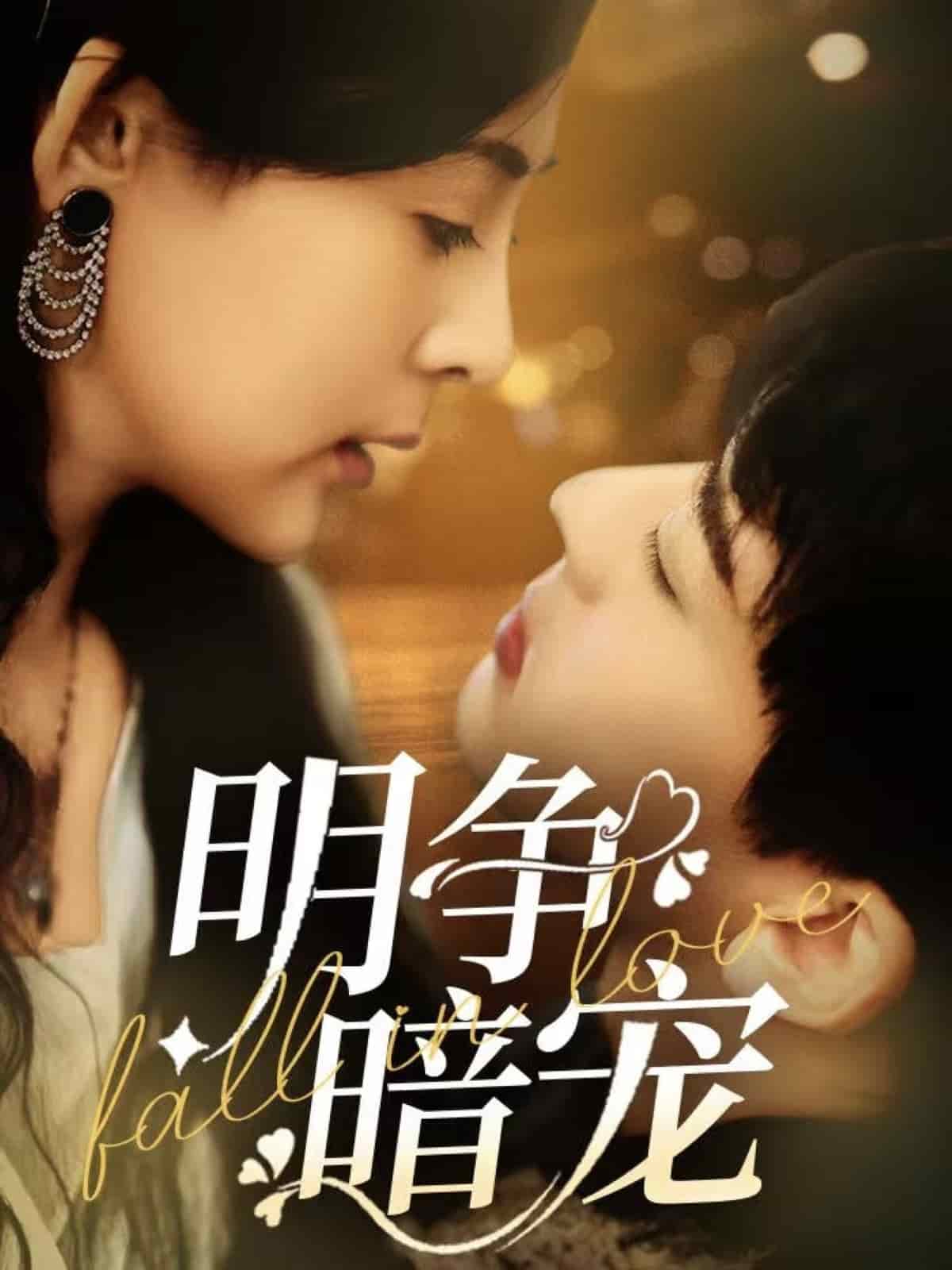 明争暗宠全集