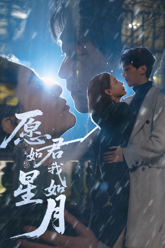愿君如星我如月全集