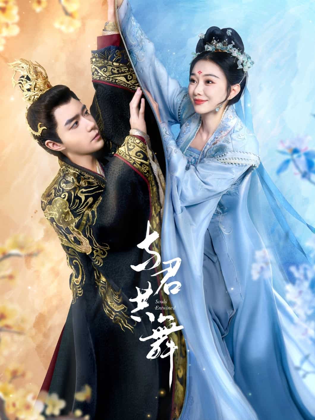 与君共舞全集