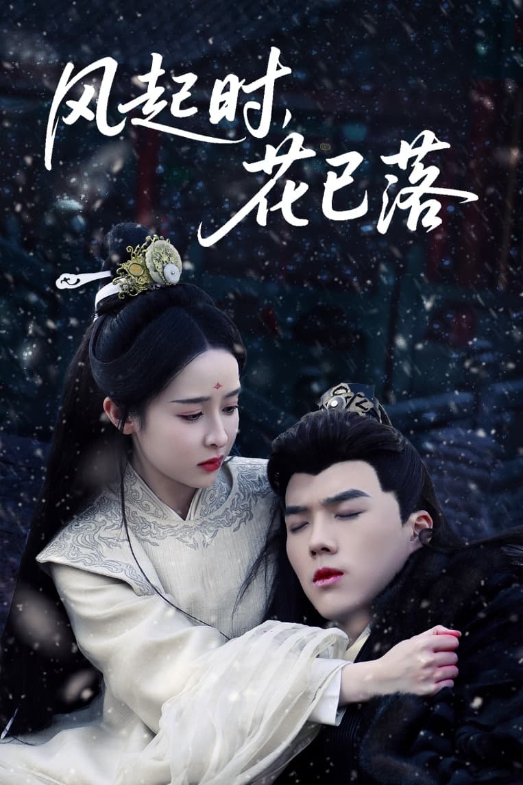 风起时，花已落全集
