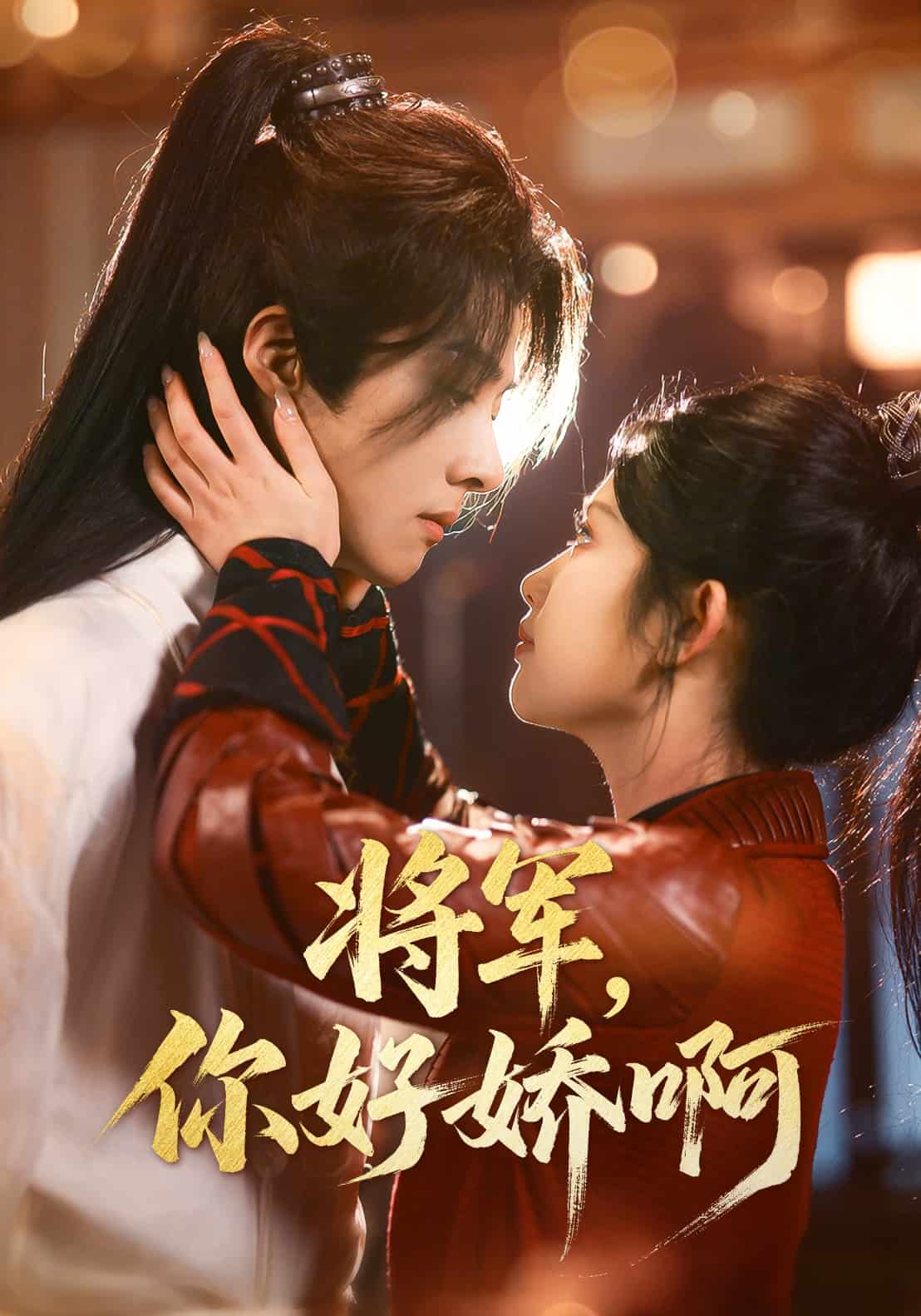 将军，你好娇啊全集