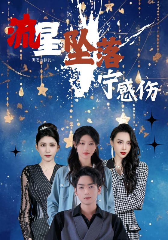 流星坠落宁感伤全集