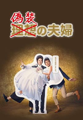 伪装夫妇2015全集
