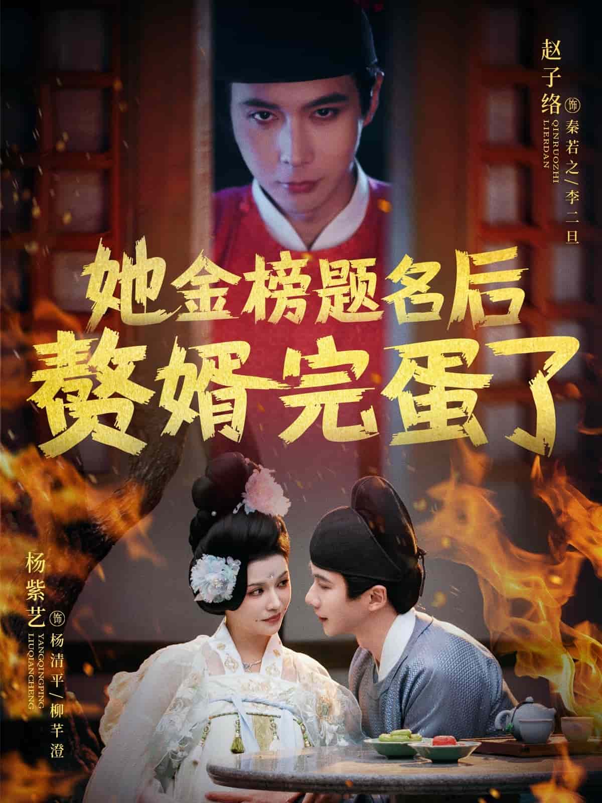 她金榜题名后赘婿完蛋了全集