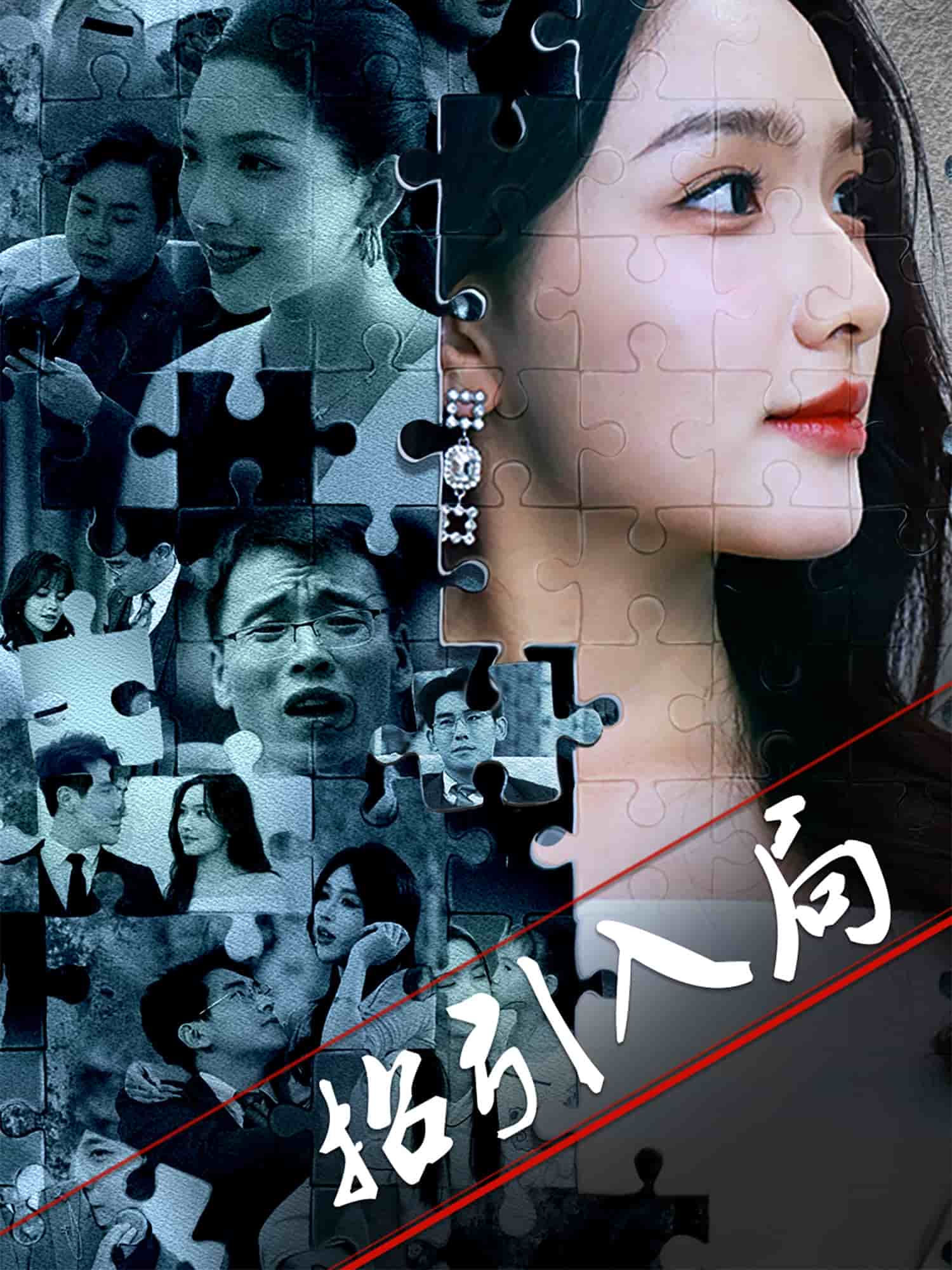 招引入局全集