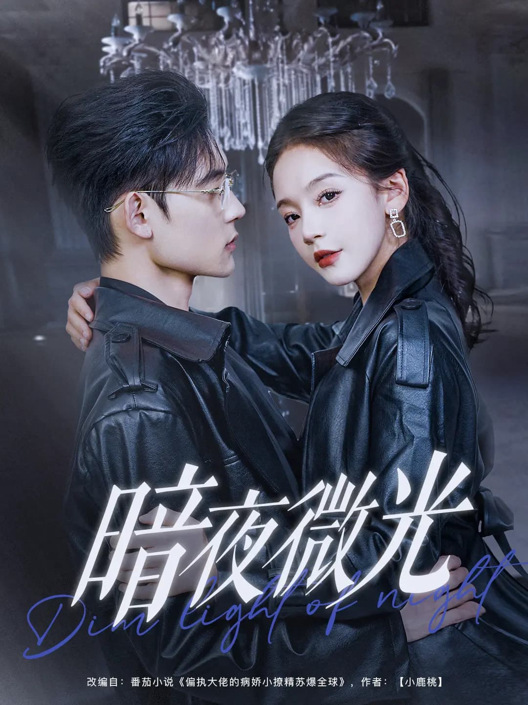 暗夜微光全集